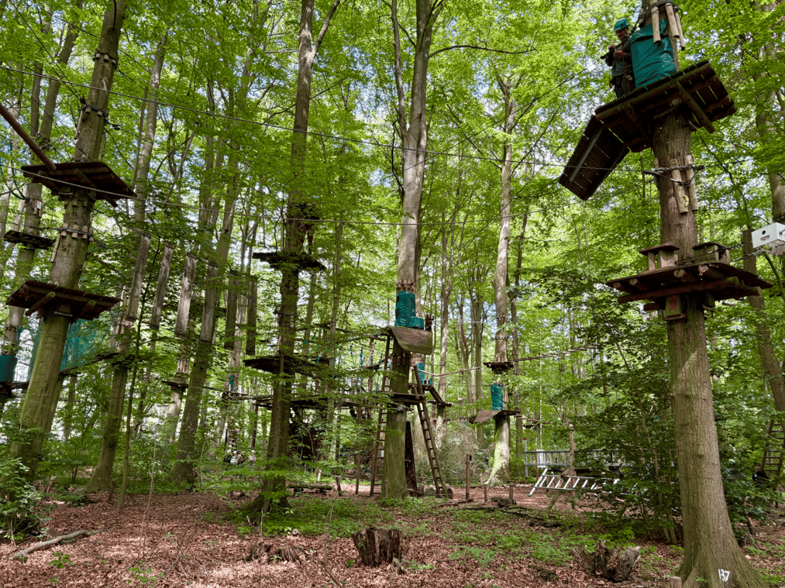 Klimpark Fun Forest Amsterdam