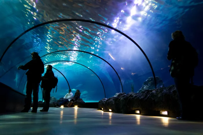 Rotterdam Zoo