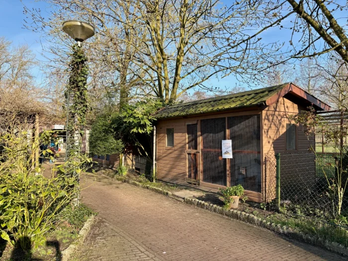 Wooden chicken coop along green path with mature trees