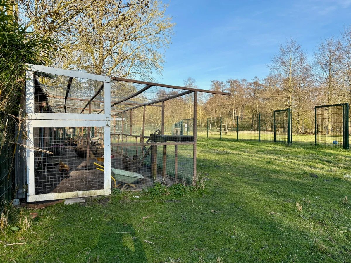 Wire chicken coop with green field and mature trees surrounding