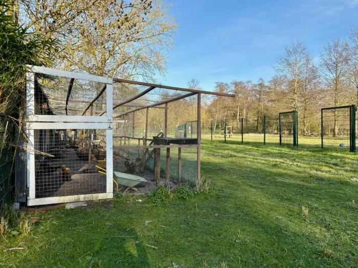 Wire chicken coop with green field and mature trees surrounding