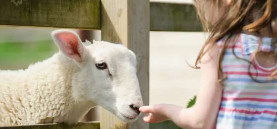Surrey Docks Farm