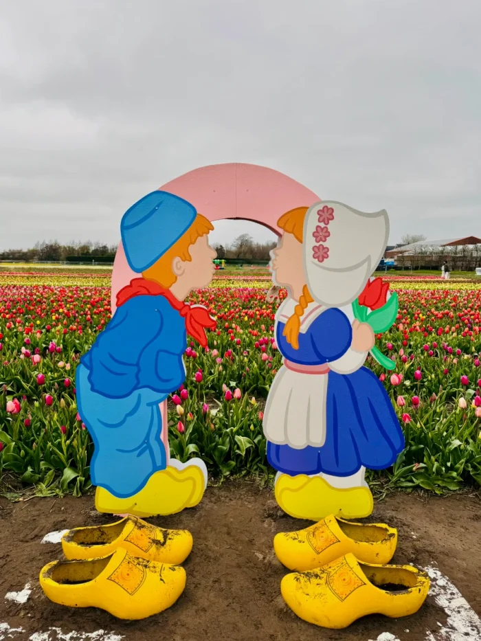 Photo prop of cutout Dutch girl and boy kissing wearing traditional clothing with tulip field behind an oversized clogs in the foreground