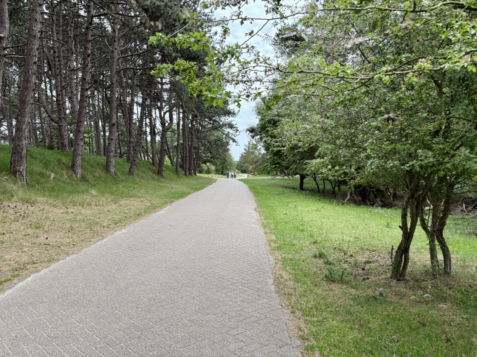 Amsterdamse Waterleidingduinen Bentveld