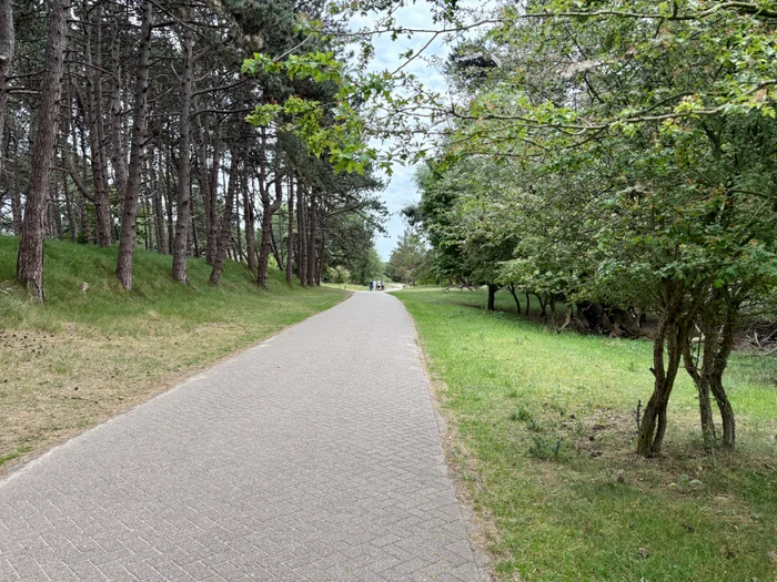 Amsterdamse Waterleidingduinen Bentveld