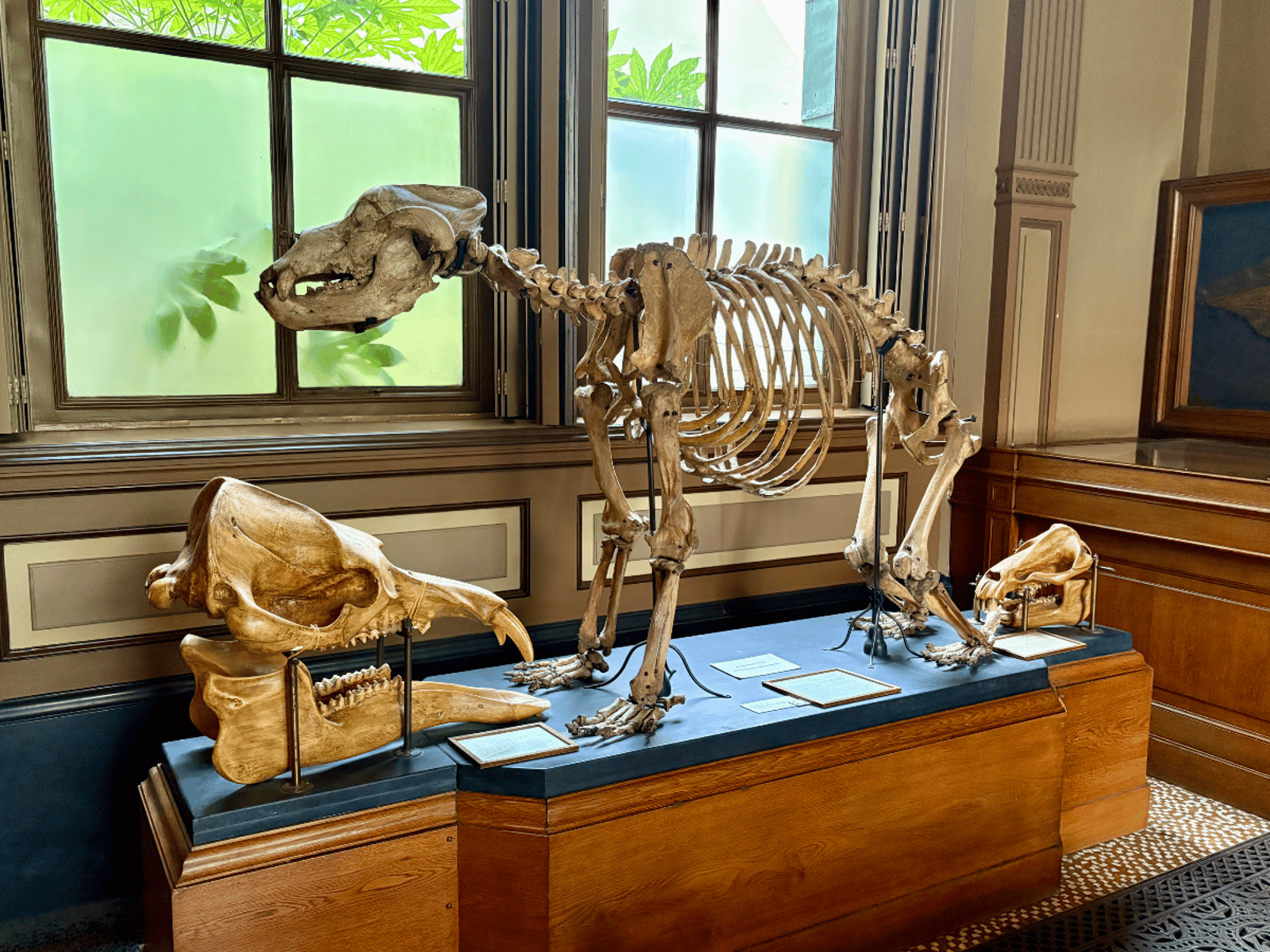 Teylers Museum