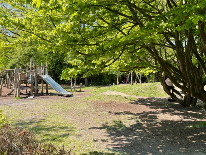 Large climbing tree with children's play structure and slide in the distance