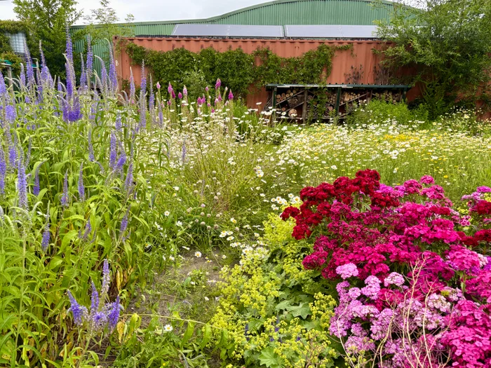 Vlindertuin Mot in Mokum NoordOogst