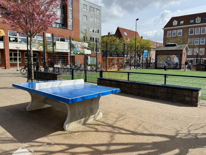 Blue and concrete table tennis table with green-turfed football pitch behind