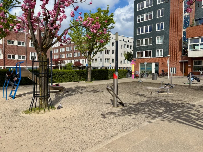 Children playing on toddler playground with slide and spring rocker with pink flower trees and residential buildings around