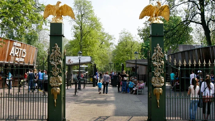 Entrance to Amsterdam's Artis Zoo with a gate and golden eagles on top of the fence in the foreground and people queuing in the ticket line beyond
