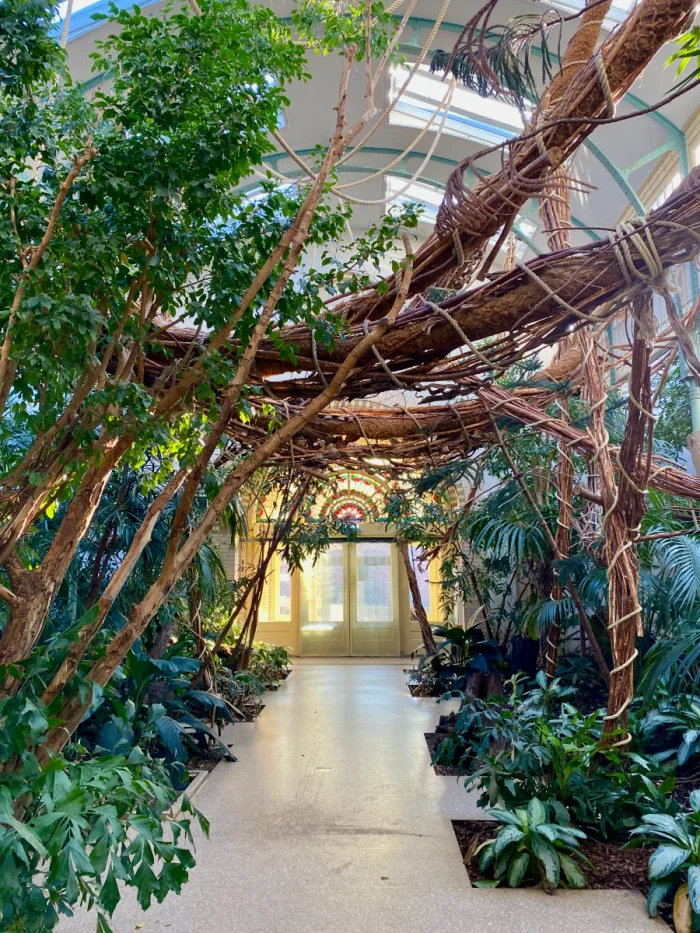 Inside a greenhouse with lush vegetation and vines overhead