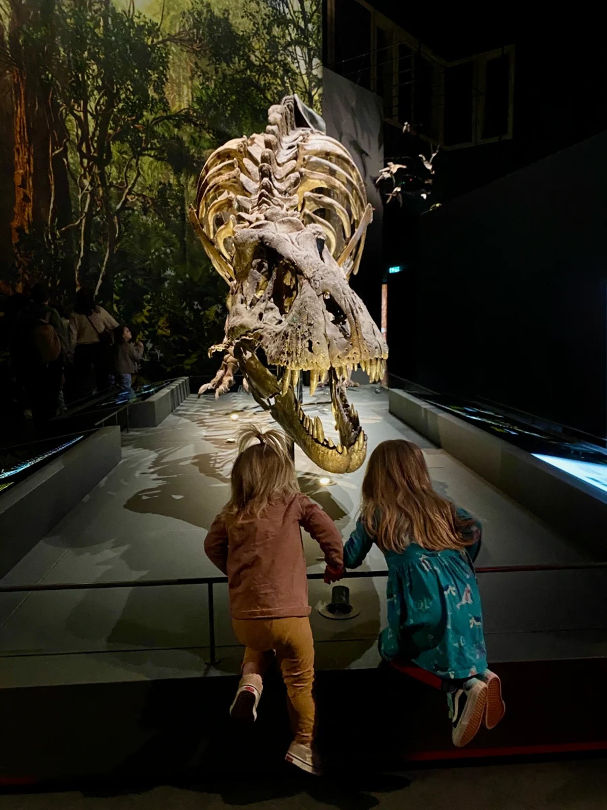 Two children looking at T Rex fossils in a dark room