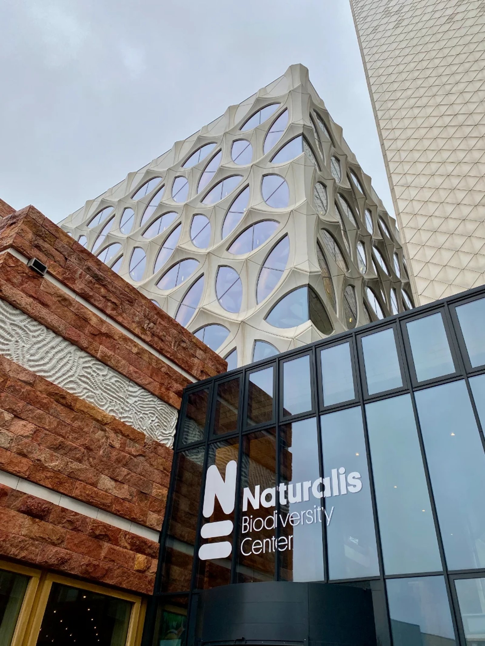Naturalis museum exterior showing glass entrance and sign, solid stone volume, and white latticed atrium