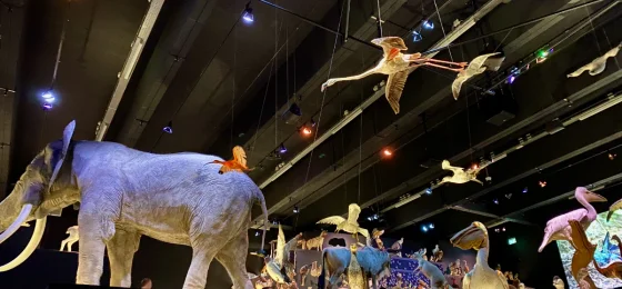 Naturalis Biodiversity Center