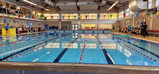 Zwembad de Meerkamp