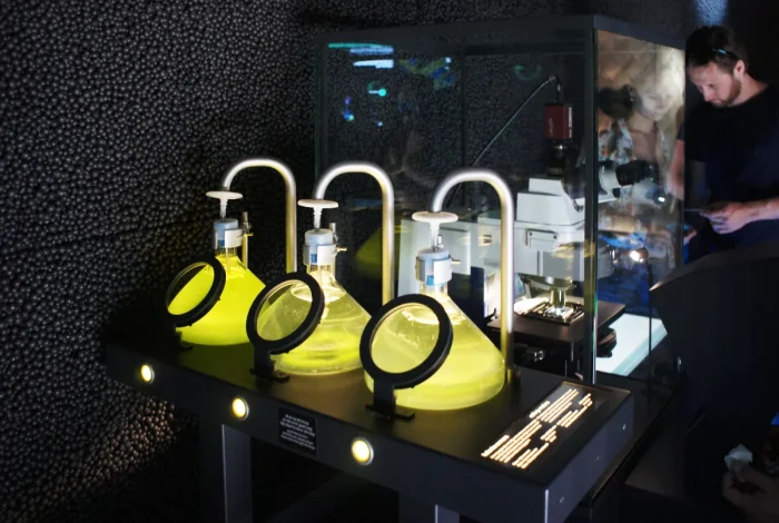 Micropia