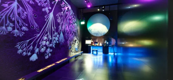 Micropia