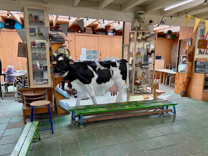 Craft / class room with life-size cow, display cabinets, and crafting tables
