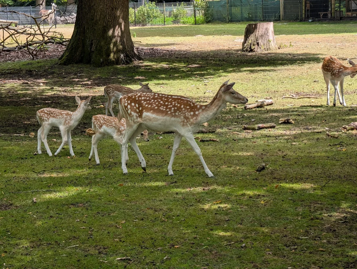 Stadsboerderij de Houthoeve