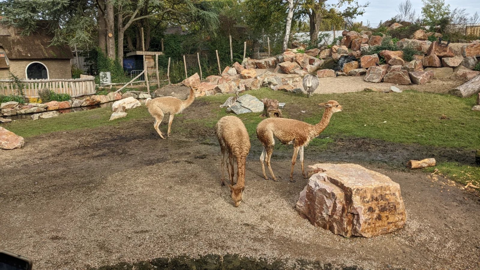 Vogelpark Avifauna
