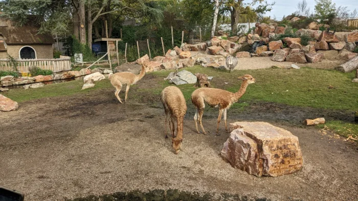Vogelpark Avifauna