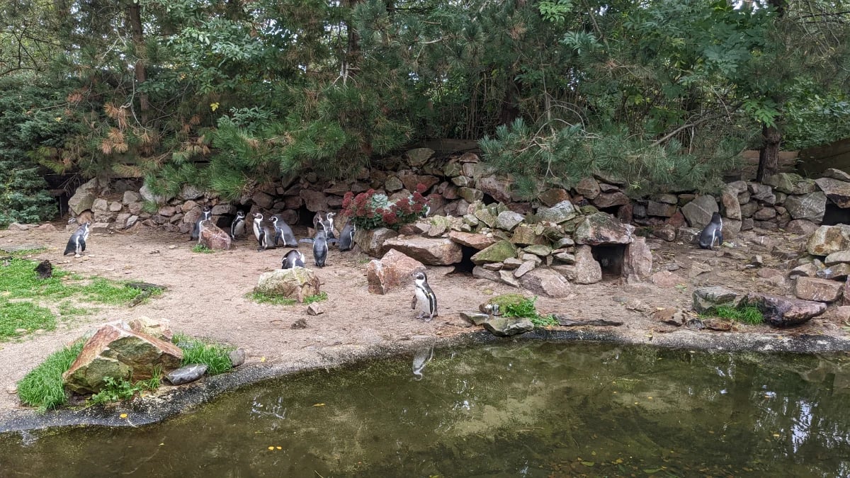 Vogelpark Avifauna