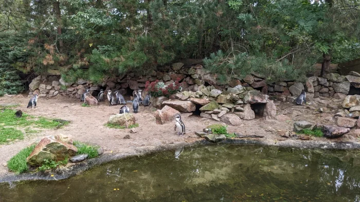 Vogelpark Avifauna
