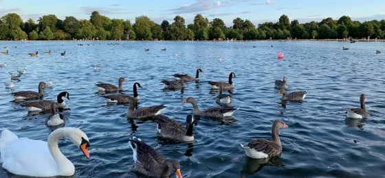 Round Pond at Kensington Gardens