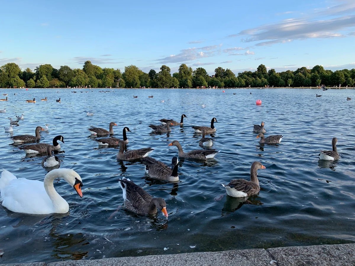 Round Pond at Kensington Gardens