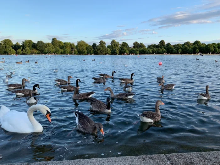 Round Pond at Kensington Gardens