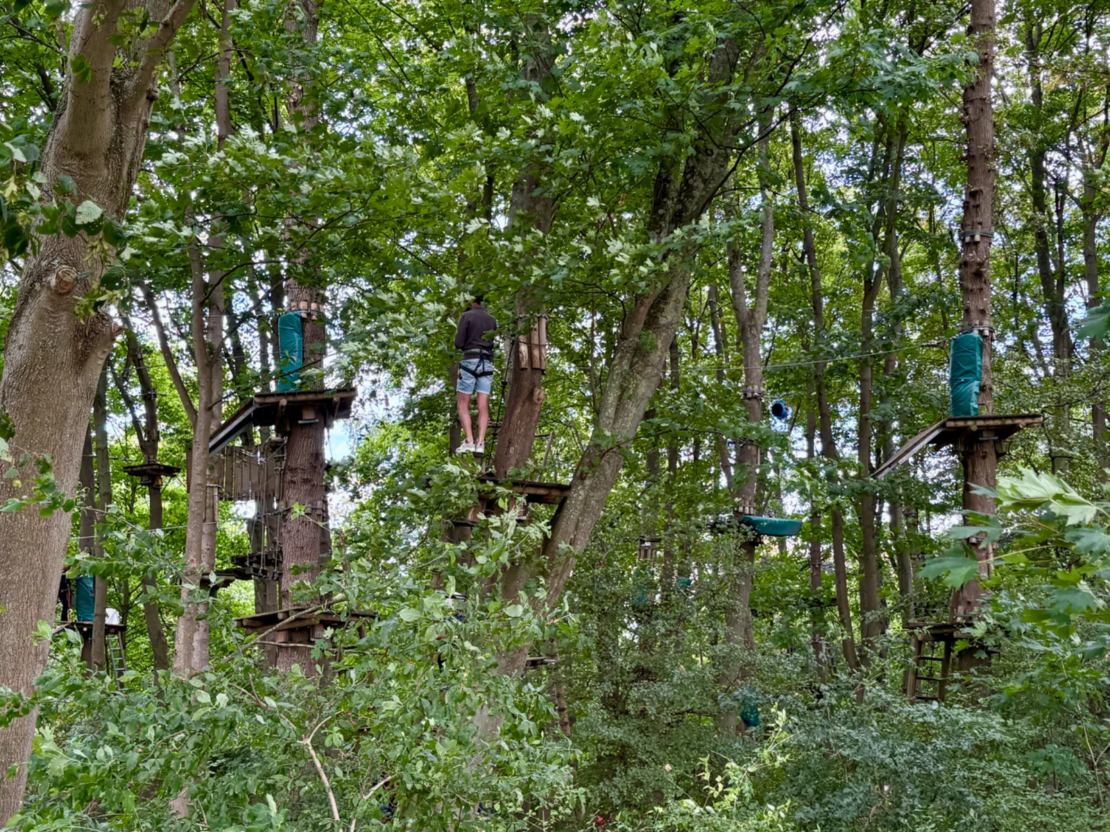 Climbing Park Fun Forest Rotterdam