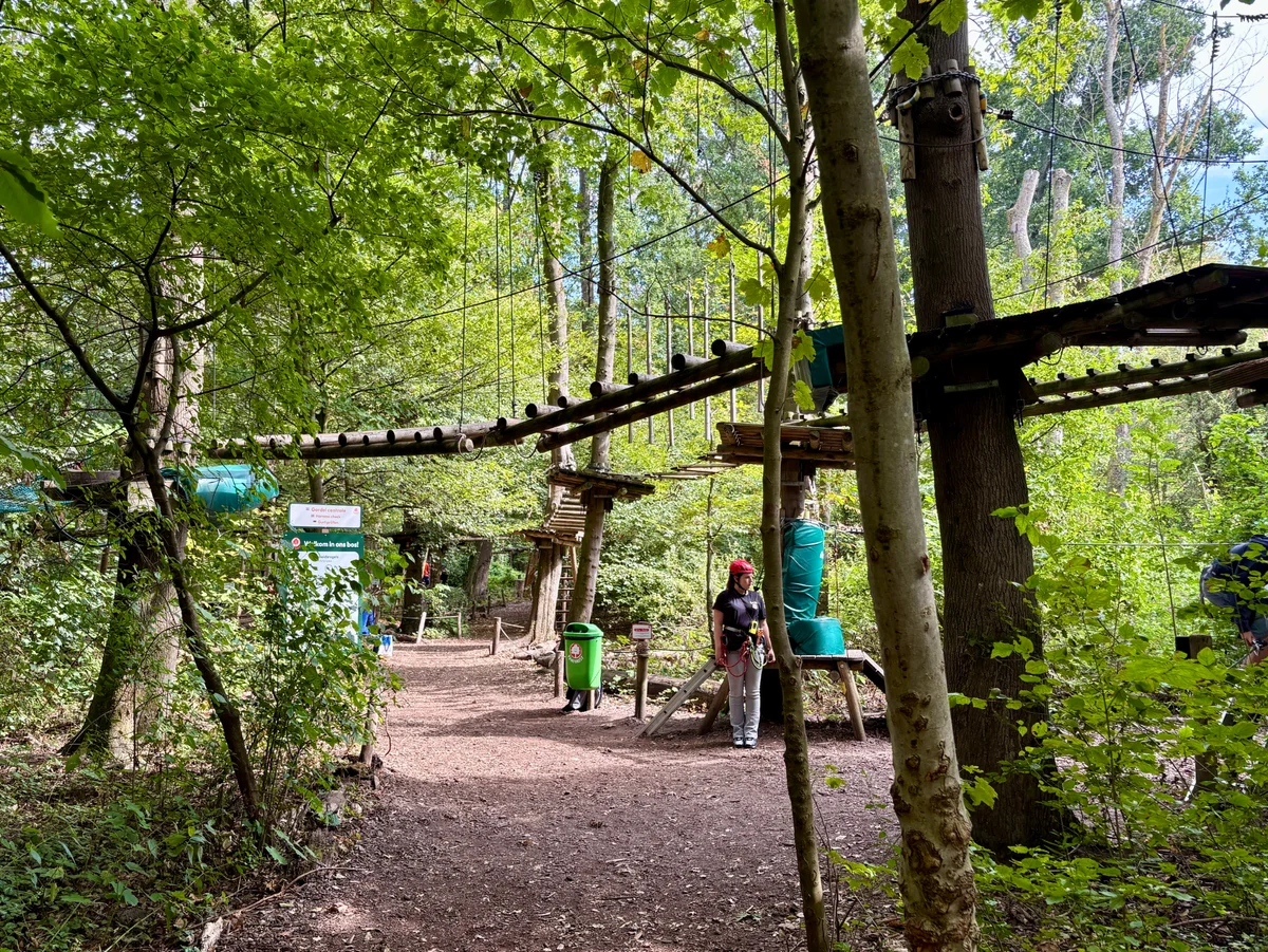 Climbing Park Fun Forest Rotterdam