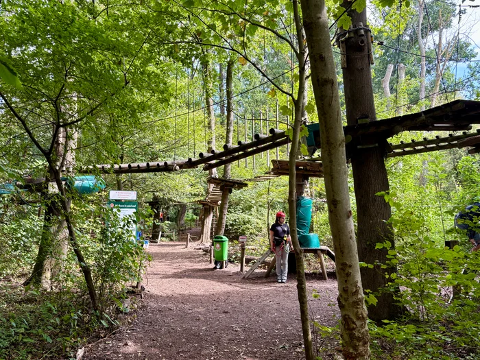 Climbing Park Fun Forest Rotterdam