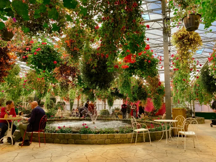 Greenhouse with hanging green plants and red and pink flowers and dining tables beneath