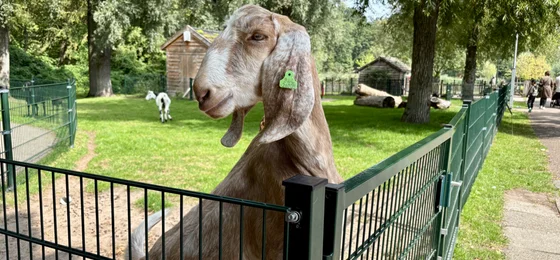Kinderboerderij de Kraal