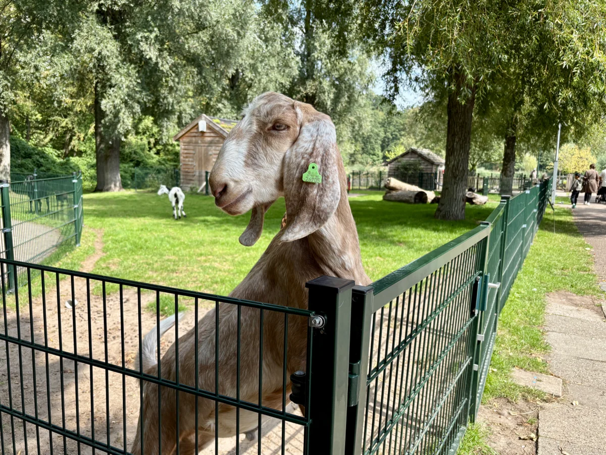 Kinderboerderij de Kraal