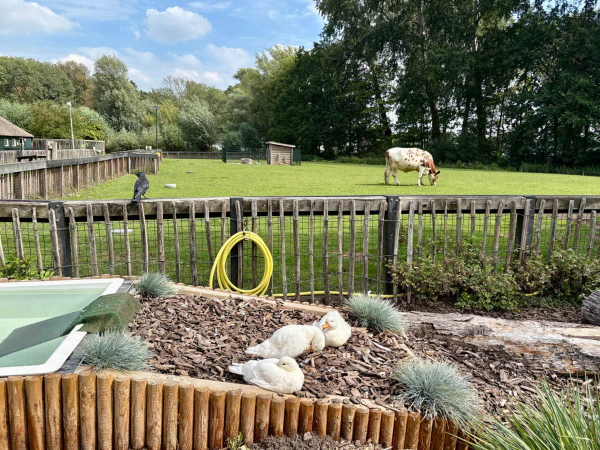 Kinderboerderij de Kraal