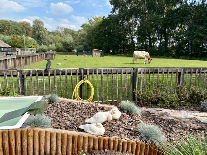 Kinderboerderij de Kraal
