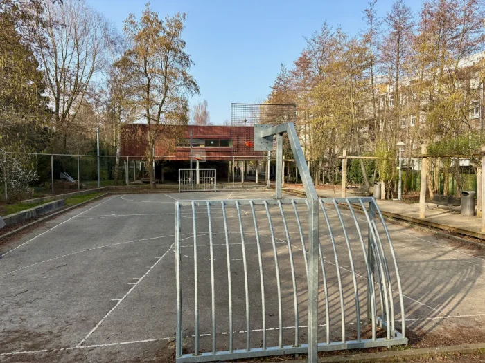 Sports pitch with soccer goals, basketball hoops, and a red building and trees surrounding