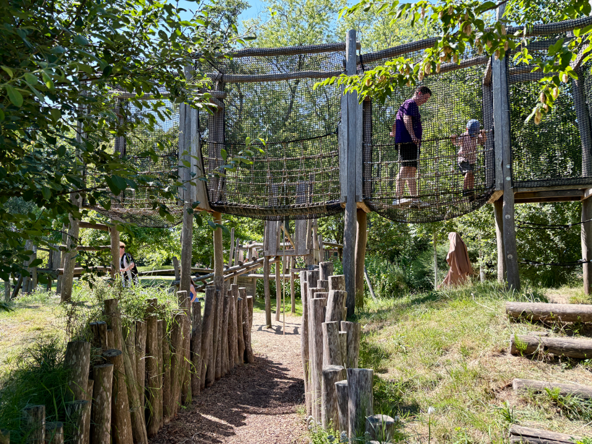 Darwinpark Natuurspeelplaats