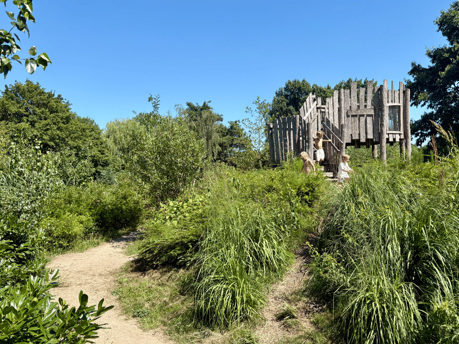 Darwinpark Natuurspeelplaats