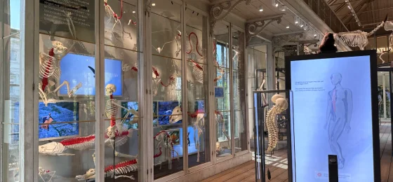 ARTIS - Groote Museum