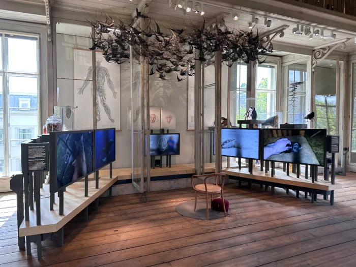Solo chair surrounded by large TV screens and with large bird sculpture overhead