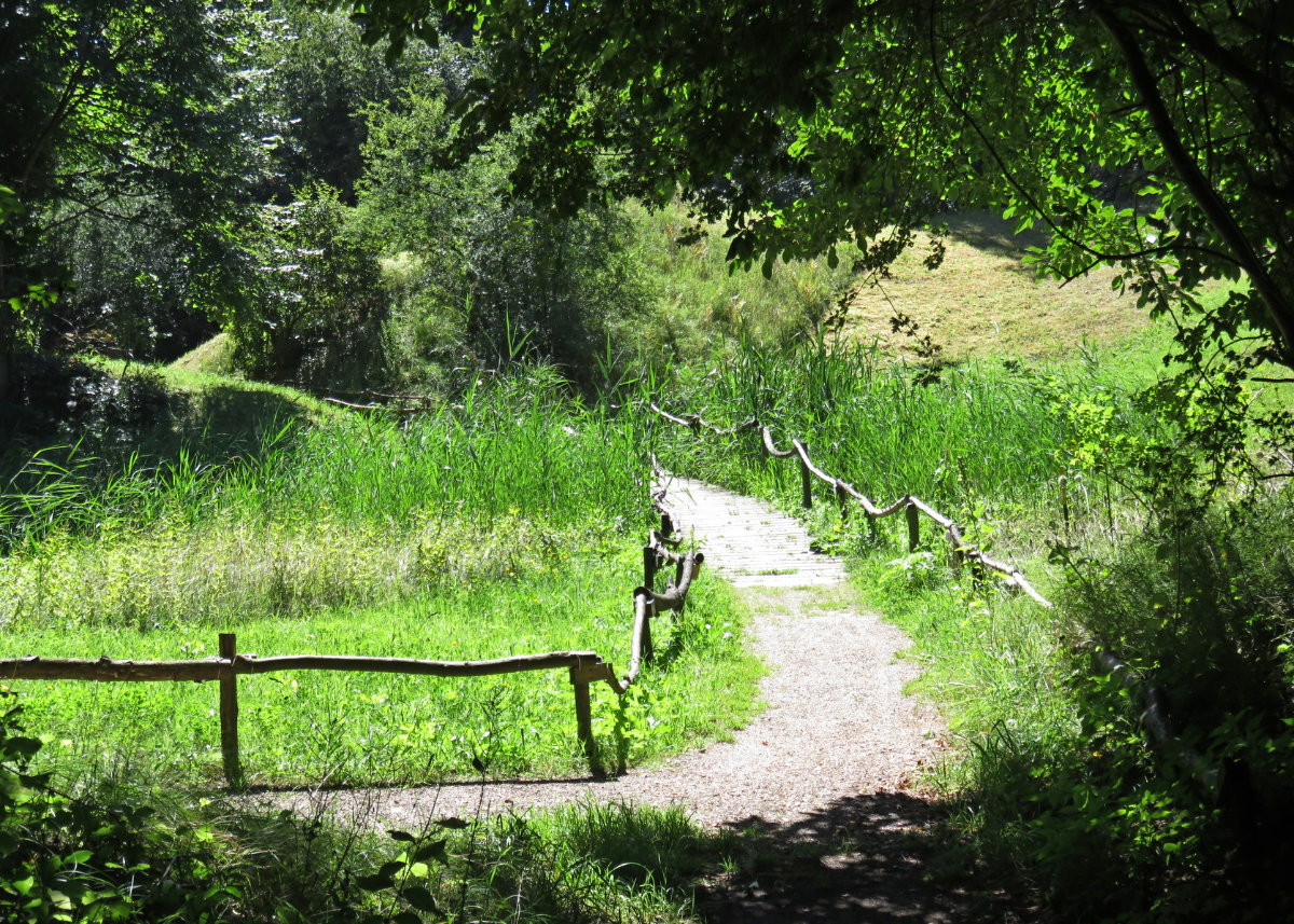 Thijsse's Hof