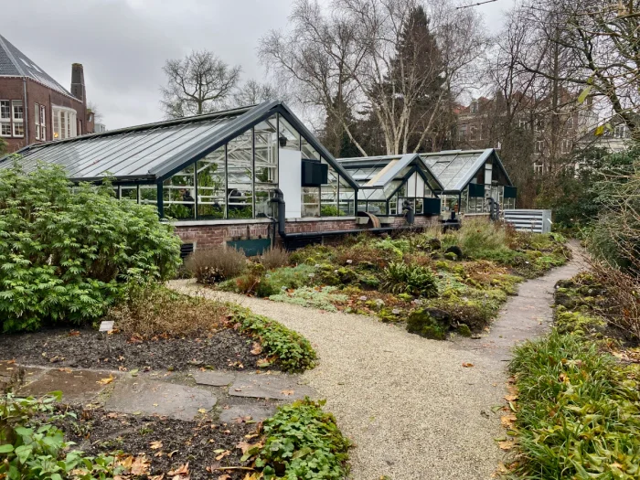 Three greenhouses on winter day with pathways and plants outside