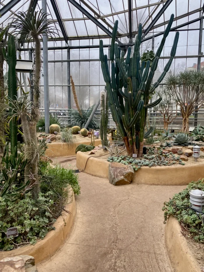 Path through arid greenhouse with cacti and succulents