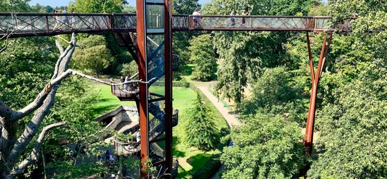 Treetop Walkway