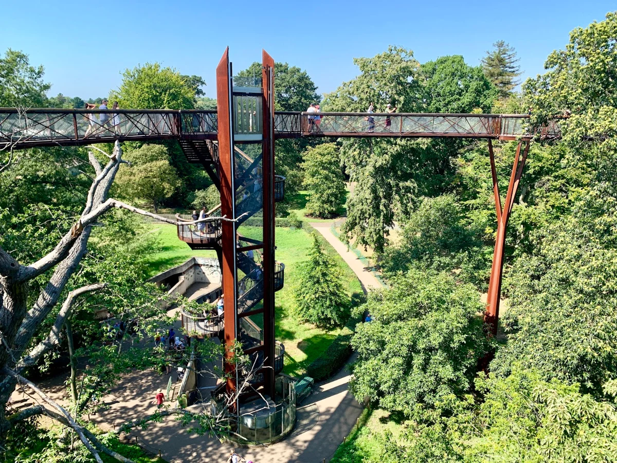 Treetop Walkway