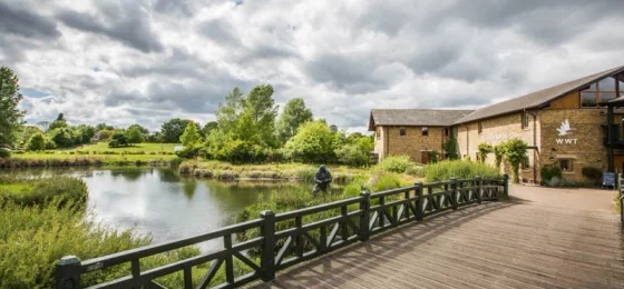 WWT London Wetland Centre